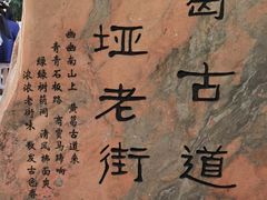 -南山植物园