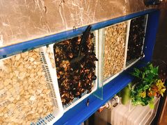 -星伦多海鲜自助餐厅(万达百货店)