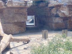 -石家庄市动物园