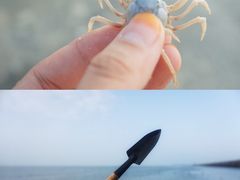 -红树林天天赶海