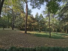 -杭州植物园