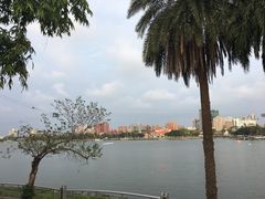 -龙虎塔