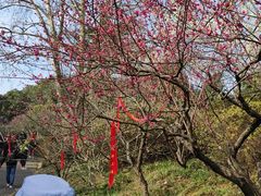 -无锡梅园公园