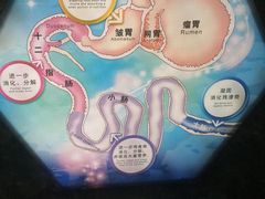 -中国杭州低碳科技馆
