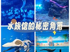 -沙沙哗啦海洋馆(华宇百花谷店)