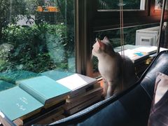 -咖法森林·咖啡  酒吧(天河店)