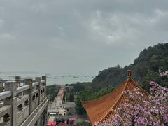 -南沙天后宫景区