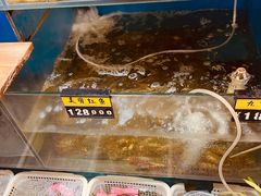 -福建美食城(老君堂店)