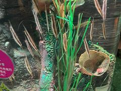 -沈阳海洋探索中心