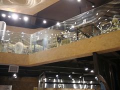 -東北一鴿(繁荣路店)