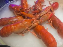 -红盔甲·小龙虾(定西路店)