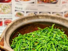 -天辣(金桥啦啦宝都店)