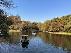 -上海共青森林公园