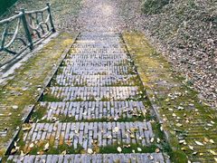 -南京市无想山景区