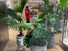 -Gucci(北京SKP店)