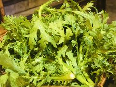 茼蒿-重庆老灶 Chong Qing Lao Zao