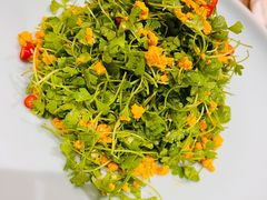 三叶香拌海胆-海铺·渔家虾水饺(皇姑店)