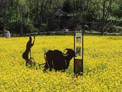 -北坞公园