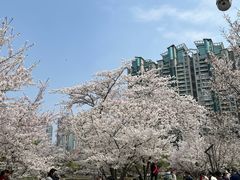 -武汉长江大桥