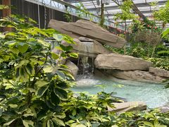 -南宫五洲植物乐园