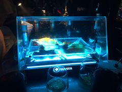 -PAPAYA CLUB 酒吧(深圳旗舰店)