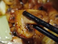 烤箱白蘑菇-妮妮酒馆Bistro Nini
