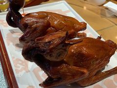 红烧乳鸽-大鸽饭(北京路店)