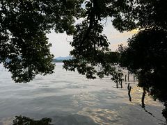 -浙江省博物馆(孤山馆区)