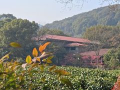 -中国茶叶博物馆(双峰馆区)