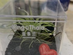 -KingThaia金泰兰(滨江天街店)