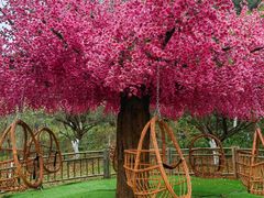 -常德桃花源景区