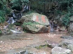 -北仑森林植物园