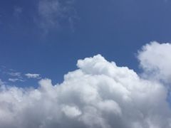 -王顺山国家森林公园