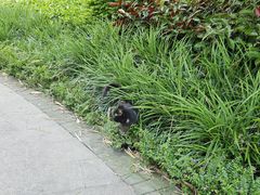 -晓港公园