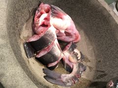 -鲜潭蒸汽石锅鱼(五道口购物中心店)