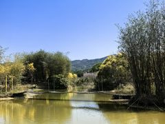 -天适樱花悠乐园