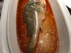 -老船坞水上餐厅(亚洲大酒店  东四十条店)