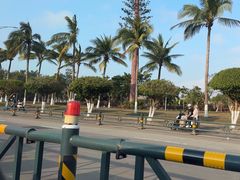 -万绿园