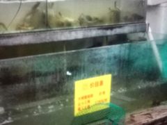 -喜洋洋蟹庄(阳澄湖店)