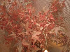 -Dragonfly悠庭·按摩Spa(静安嘉里中心店)