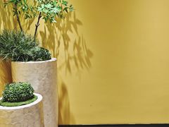 -康逸居·始于2002(海安店)