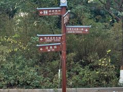-八大山人梅湖景区