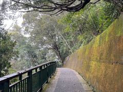 -日月潭