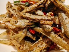 -印象鲵宴·张家界地标美食名片(溪布街店)