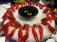 冰镇龙虾-一棠龙虾(徐家汇城开YOYO店)