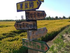 道路指示牌-稻梦空间
