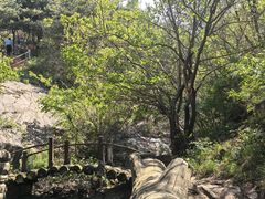-青龙山景区