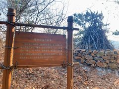 -棒棰岛宾馆景区