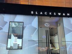 -BLACKSWAN黑天鹅(环球店)