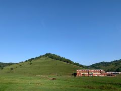 -关山草原